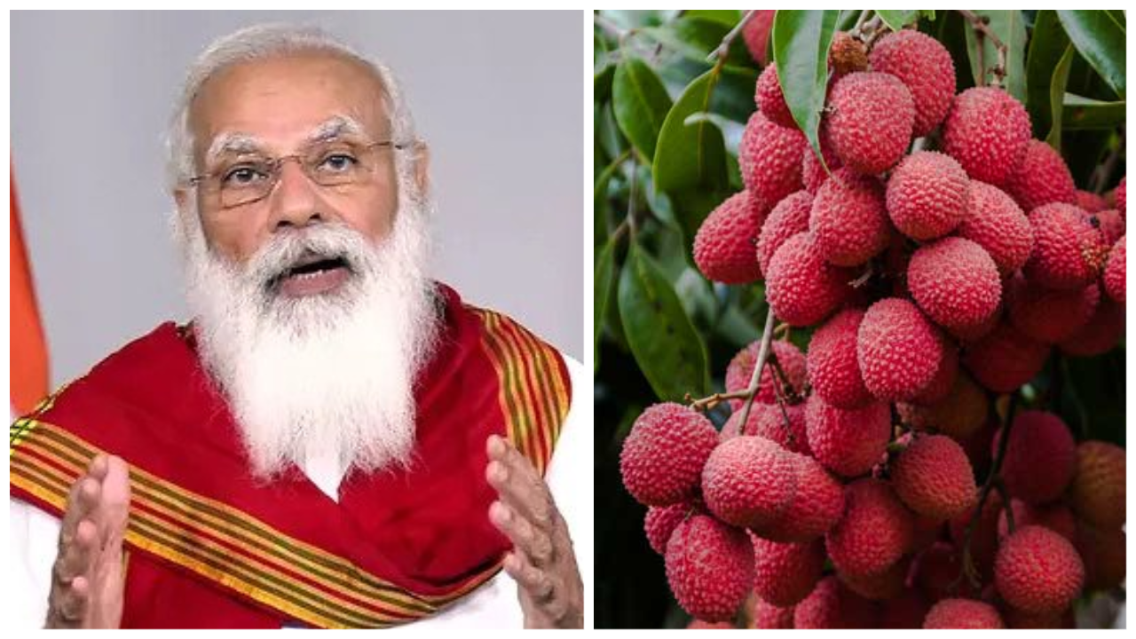 Pm Narendra Modi Man Ki Baat Shahi Litchi