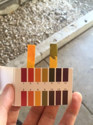 The importance of ph e1486775942929