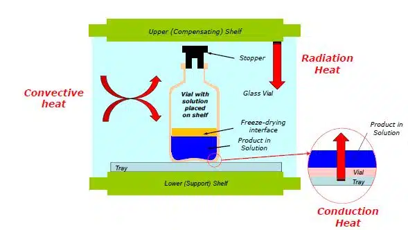 Conduction, Convection and Radiation…in freeze-drying process