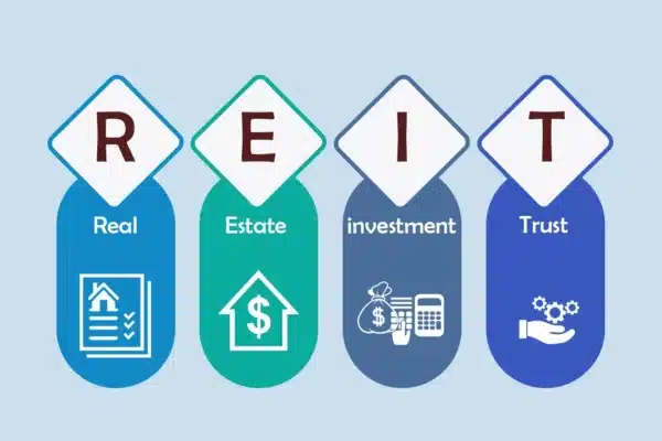 Real estate investment trust